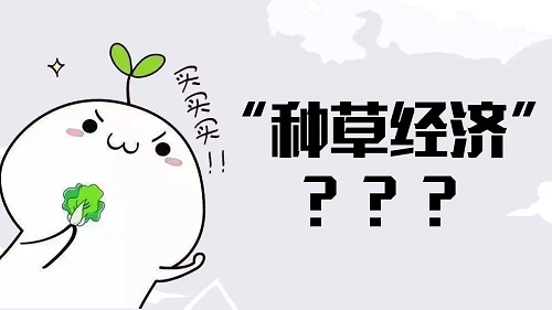 種草是什么意思?小紅書上如何種草?